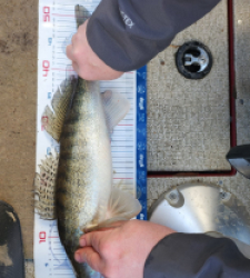 photo prise 52839 par Mélie