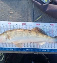 photo prise 52840 par Coco03