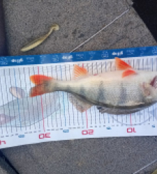 photo prise 52841 par Coco03