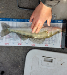 photo prise 52842 par Mika