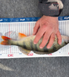 photo prise 52843 par Dav