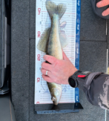 photo prise 52845 par Kev_47