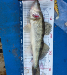 photo prise 52846 par Pastaga