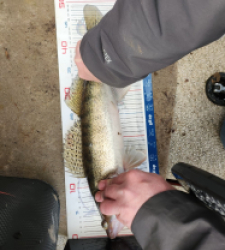 photo prise 52848 par Mélie