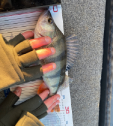 photo prise 52851 par Loulou