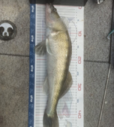 photo prise 52852 par Dylan