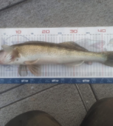 photo prise 52854 par Dylan