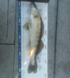 photo prise 52855 par Dylan