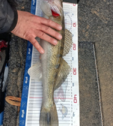 photo prise 52856 par Damien Gibeau