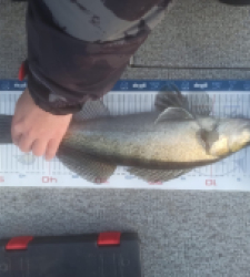 photo prise 52857 par Dylan