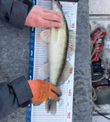 photo prise 52858 par Dav