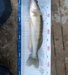 photo prise 52859 par Steve