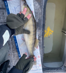 photo prise 52860 par Loulou