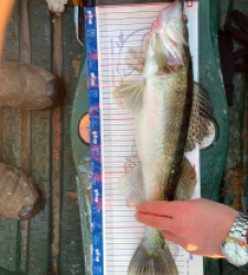 photo prise 52861 par le.bonte-loric