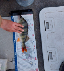 photo prise 52862 par Mika