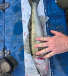 photo prise 52863 par Pastaga