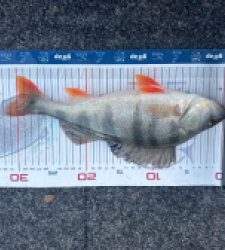 photo prise 52864 par Lorenzo