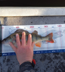 photo prise 52865 par Pescado