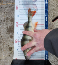 photo prise 52866 par Mélie