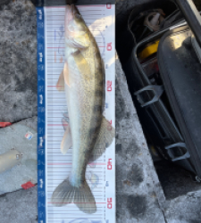 photo prise 52867 par Victor 