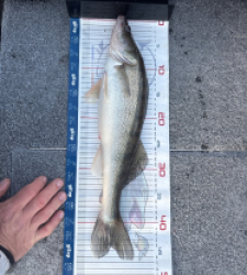 photo prise 52868 par Yael