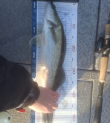 photo prise 52869 par Dylan