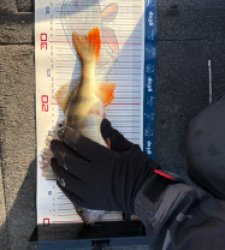 photo prise 52870 par Kev_47