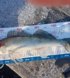 photo prise 52872 par Coco03