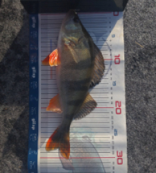 photo prise 52873 par julo_vido