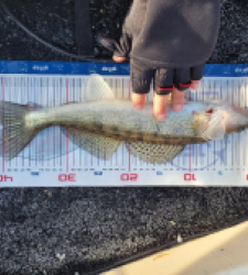 photo prise 52876 par Valhort16