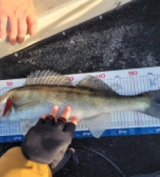 photo prise 52877 par Valhort16