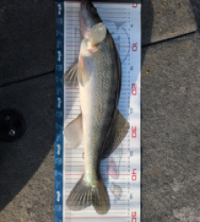 photo prise 52878 par Alex