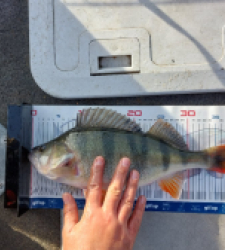 photo prise 52879 par Mika