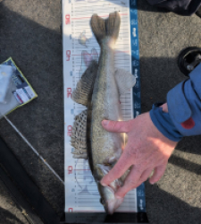 photo prise 52880 par Alex