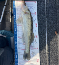 photo prise 52881 par Pio73