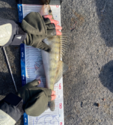 photo prise 52882 par Loulou