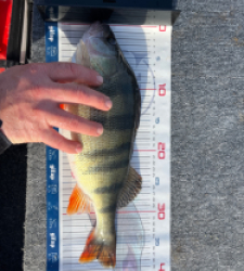 photo prise 52883 par Dav