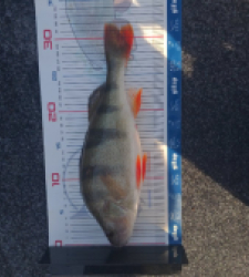 photo prise 52884 par julo_vido