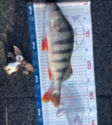 photo prise 52886 par Lorenzo