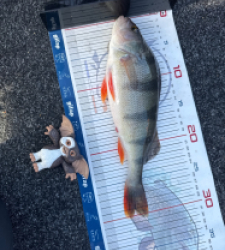 photo prise 52887 par Lorenzo