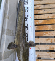 photo prise 52904 par massymatthieu