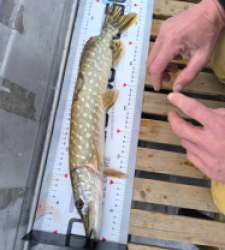 photo prise 52931 par pollet.marc28