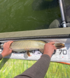 photo prise 52937 par plot.gallou