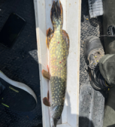 photo prise 53091 par 