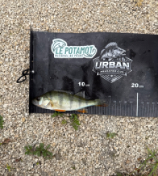 photo prise 53386 par Urban fishing France