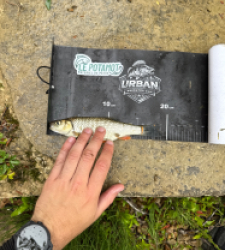 photo prise 53483 par Urban fishing France