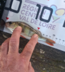 photo prise 53656 par sp-tina