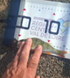 photo prise 53661 par sp-tina