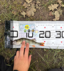photo prise 53678 par Urban fishing France