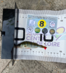 photo prise 53712 par jules.deschamps